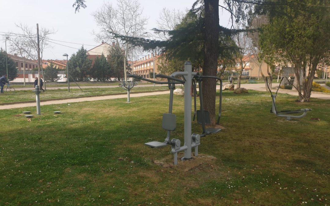 Biosaludables y calistenia