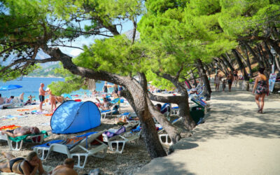 Camping con pista de pádel