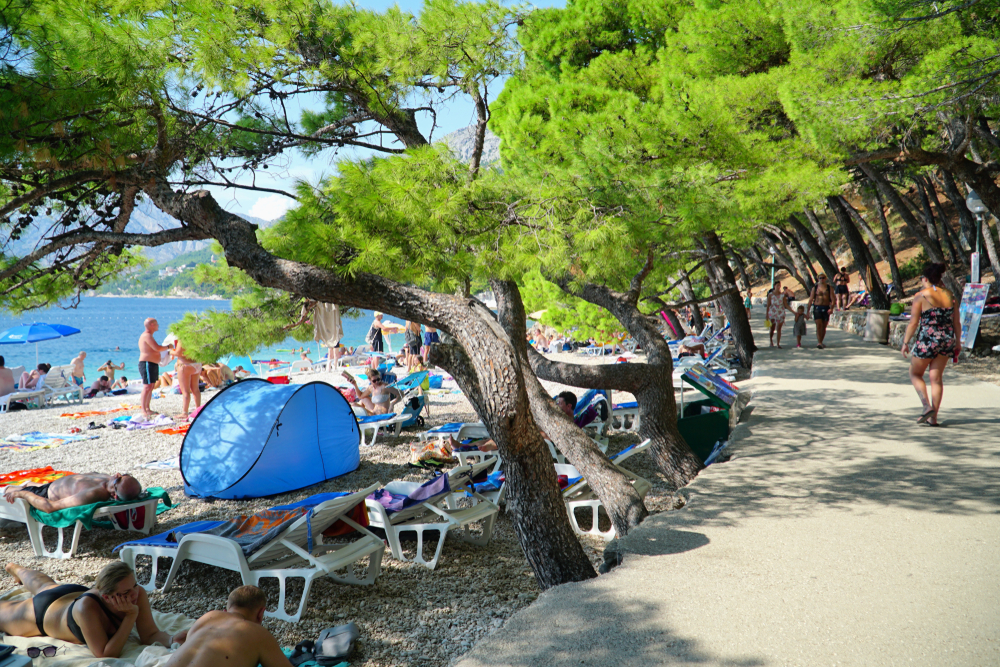 Camping con pista de pádel