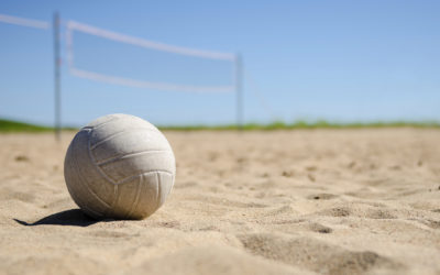 Red de voleibol