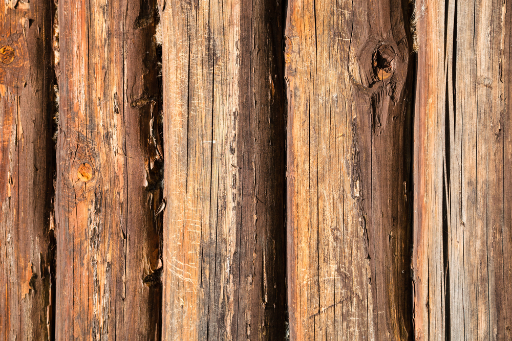 Características de la madera