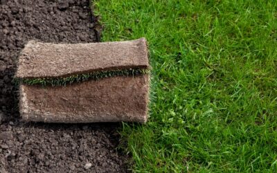 C&oacute;mo colocar c&eacute;sped artificial sobre tierra