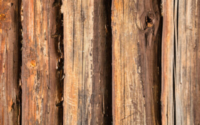 Características de la madera: tipos, propiedades y usos